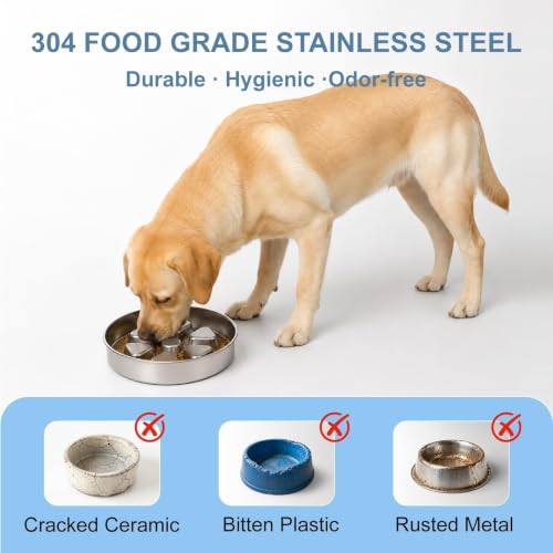 Stainless Steel Slow Feeder Dog Bowl