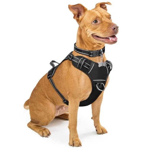 Dog Harness No Pull (Medium / Black)