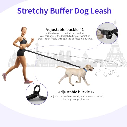 Hands Free Dog Leash by Kazazoo (Black / M)