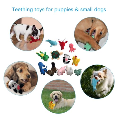Squeaky Plush Dog Toy Pack for Puppy (12 Pack)
