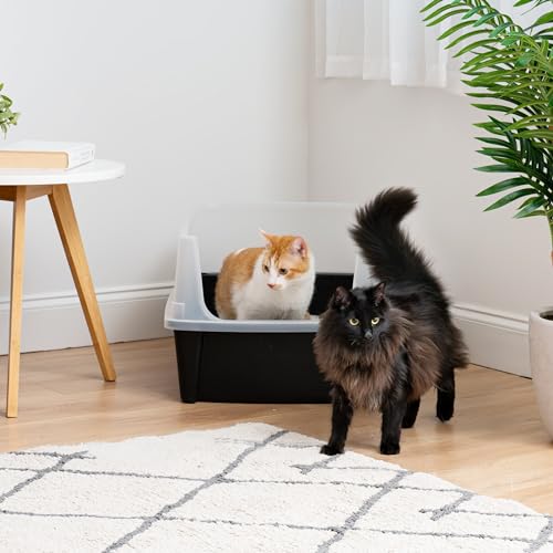 XX Large High Sided Cat Litter Box (XXL / Black)