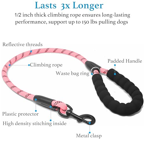 Double Dog Leash (Baby Pink / Medium)