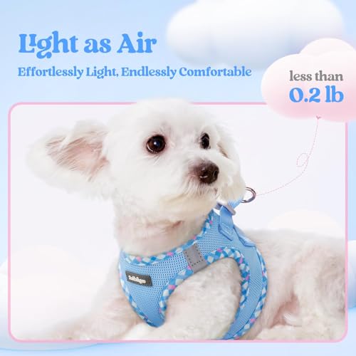 Dog Harness Medium Sized and Leash Set (Blue & Plaid Trim / L (chest: 18.2 - 20.5"))