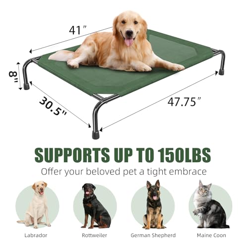 Raised Dog Bed for Large Dogs (47.75"L x 30.5"W x 8"Th / Green)