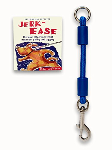 BUNGEE DOG LEASH EXTENSION (Medium (up to 60 pounds) / Blue)