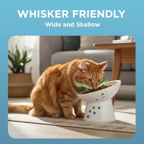 Necoichi Ceramic Elevated Cat Food Bowl (Cat / Regular Tilted)