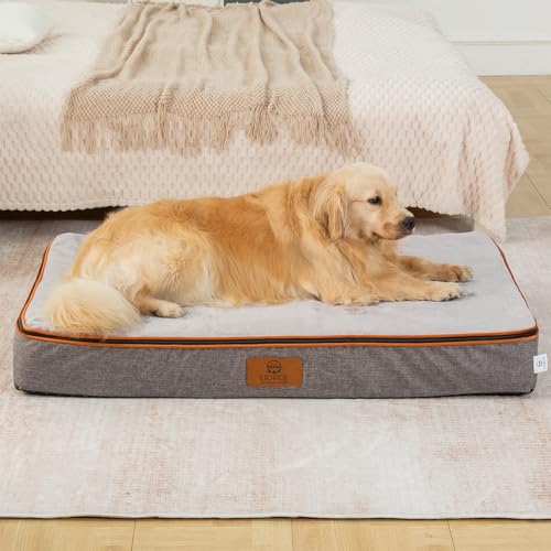 Orthopedic Memory Foam XXL Dog Bed (48.0"L x 30.0"W x 6.0"Th / Light Grey)