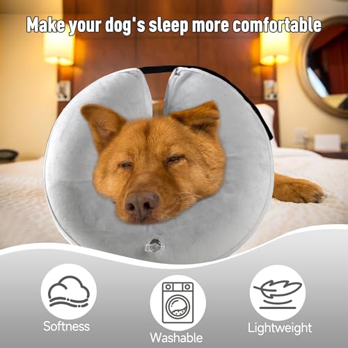 Inflatable Dog Cone (L / Gray)
