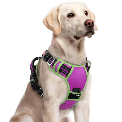 Dog Harness for Large (Purple & Light Green / Large)