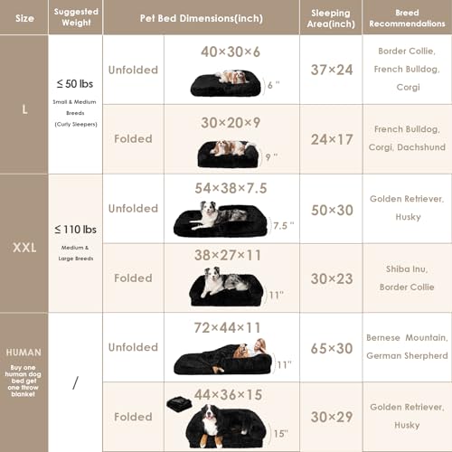 Orthopedic Foldable Human Dog Bed (72x44x11(Folded 44x36) / Black)
