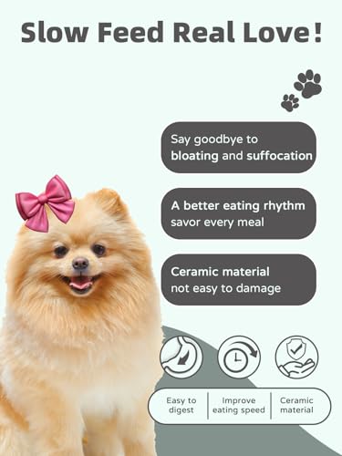 Ceramic 1.5 Cup for Small & Medium Breeds Slow Feeder Dog Bowl (Black)
