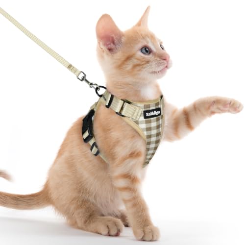 Cat Harness and Leash Set (Xxs / Foamy Coffee)