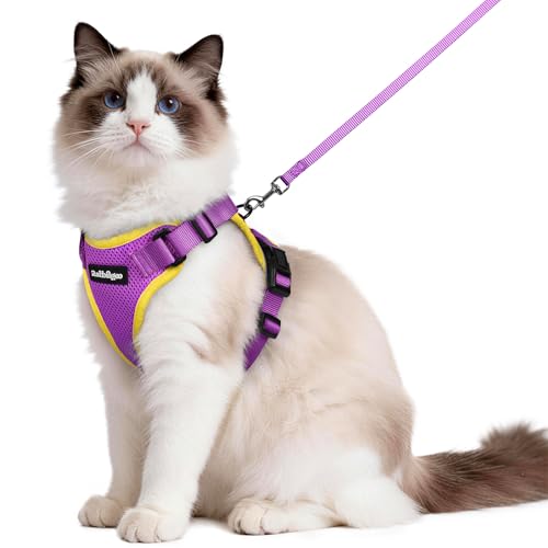 Cat Harness and Leash Set (M / Purple & Yellow)