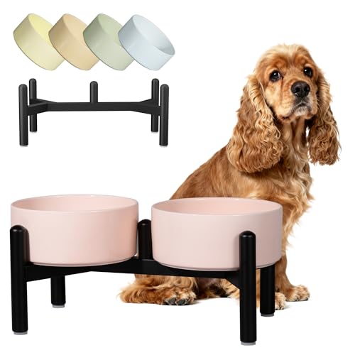 Ceramic Elevated Dog Bowl Set (Pink / 3.5 Cups)