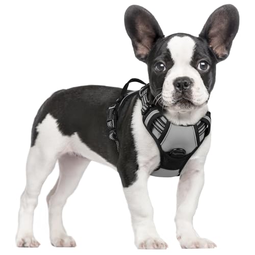 Dog Harness No Pull for Small Dogs with 2 Leash Clips (Small / Gray)