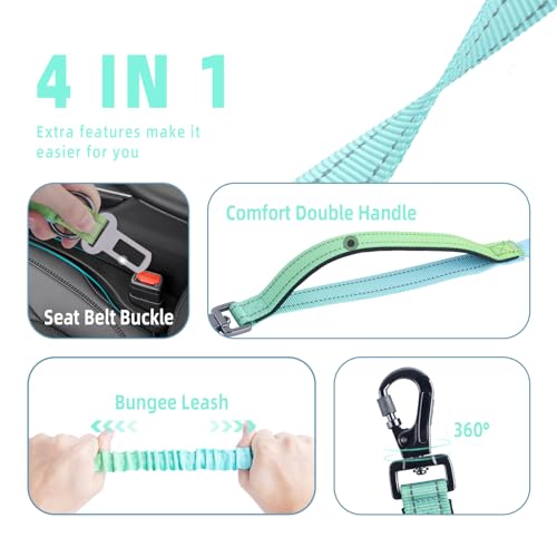 Hands Free Dog Leash for Medium Large Dogs Heavy Duty (GreenBlue)