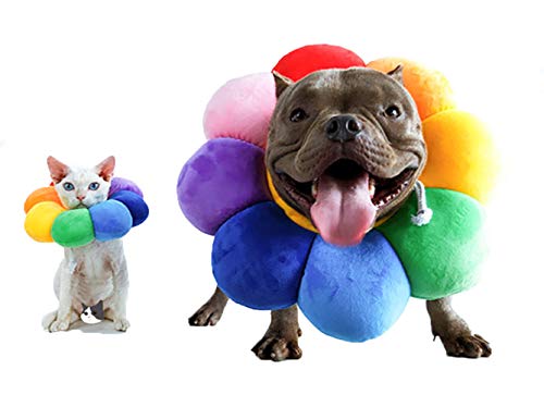 Pet Adjustable Recovery Collar (XS)