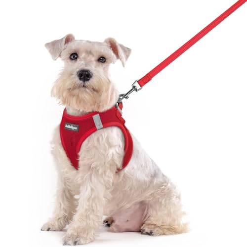 Dog Harness Medium Sized and Leash Set (Red / Xxl (chest: 21.6 - 23.7"))
