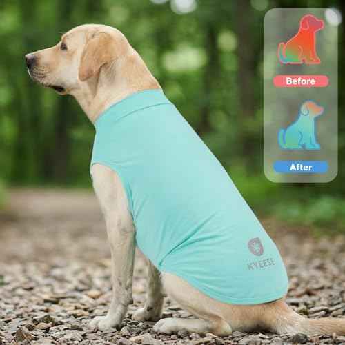 2Pack Dog Cooling Shirt with UPF 50+ UV Protection (XXX-Large (55-75lbs) / Blue)