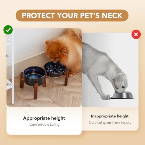 Raised Slow Feeder Dog Bowls (2 x Starry Sky + Stand - C / S- 6.1inch / 0.9 Cups)