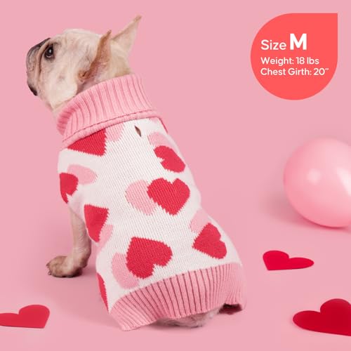 Valentines Dog Sweater (X-Large (19-27lbs) / Valentine)