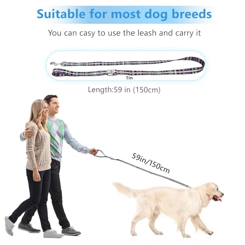 Light up Dog Leash USB Rechargeable for Small Medium Large Dogs (Bohemian purple / L59in/W1in)