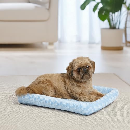 QuietTime Fashion Dog Bed (Blue / 24 Inch)