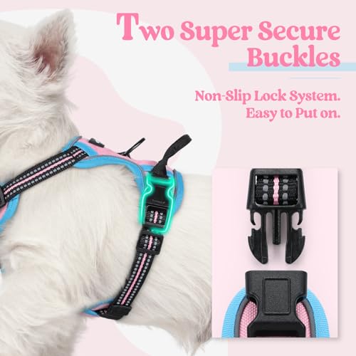 Dog Harness No Pull for Small Dogs with 2 Leash Clips (X-Small / Pink & Blue)