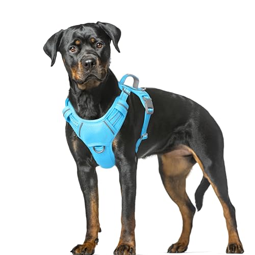 Dog Harness for Large Dogs No Pull Dog Vest ID Tag Pocket (Blue / X-Large)
