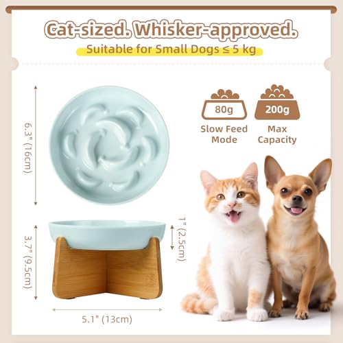 Elevated Slow Feeder Cat Bowl (Blue + Bamboo Base / 7"H)