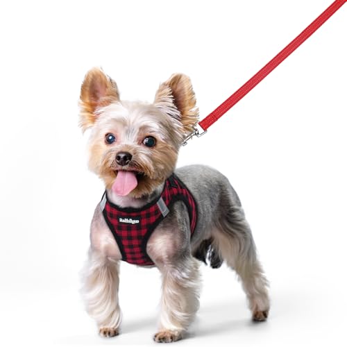 Dog Harness Small Sized and Leash Set (Red Check / Xs (chest: 13.3 - 15.5"))