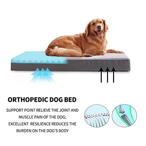 Orthopedic Memory Foam Dog Bed (Purple Grey / Large-35"x 22" x 3")