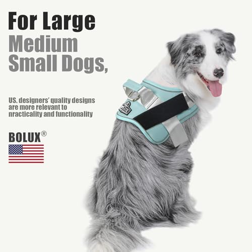 Dog Harness No (XX-Large (Pack of 1) / BabyBlue)