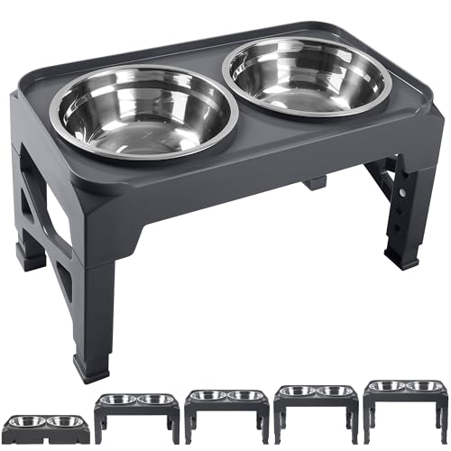 Elevated Dog Bowls with 2 Stainless Steel Food & Water Raised Bowls with No Spill Edge Non (M (8" for M/L Dogs) / Grey)