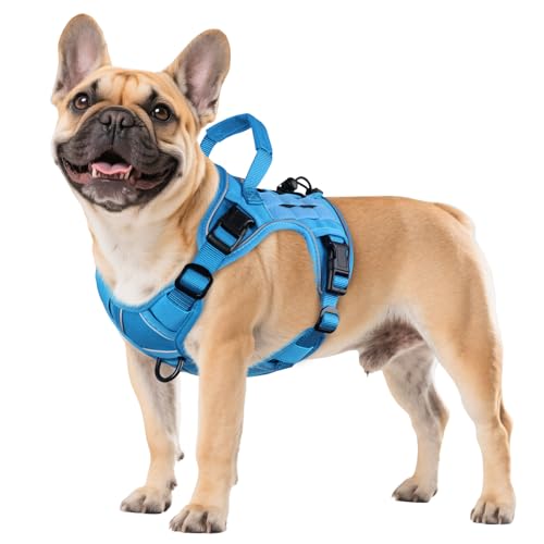 Blue Tactical Dog Harness for Small Dogs (Blue / Small: 15-30 lbs (Chest:20-26",Neck:15-18"))