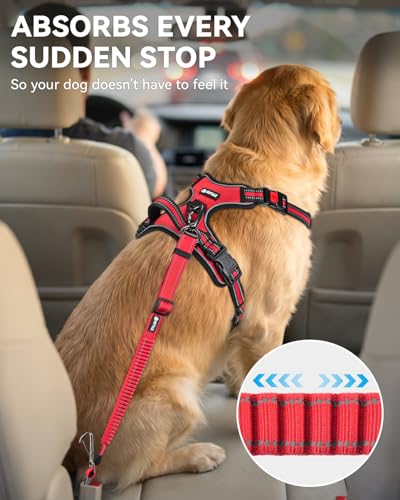 3-in-1 Bungee Dog Seat Belt for Car, Medium and Large Dogs, Red (Red / (21.6-31.5) inch)