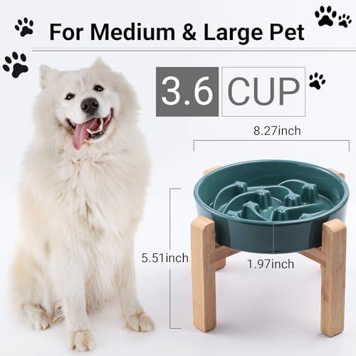 Ceramic Slow FeederDog Bowl for Medium Large Dogs (Stars mark-Forest Green / 8.66in)