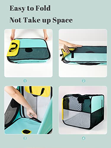 Pet Dog Cat Drying Box (Turq)