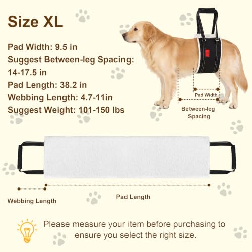 Dog Lift Harness (XL)