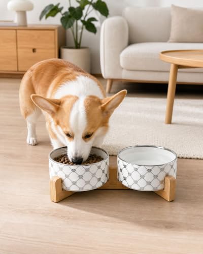 Ceramic Dog Bowl Set of 2 with Wood Stand (M-3.5 Cups / 03-Sliver Paw)