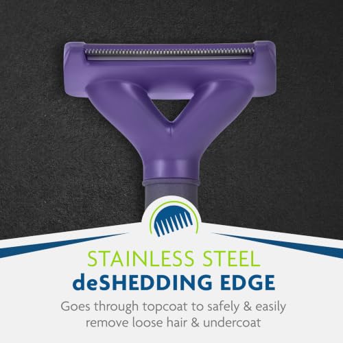 Medium to Large Cat deShedding Tool for Short Hair (Large / short hair)