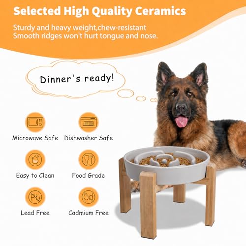 Elevated Slow Feeder Dog Bowl (Grey / 3.2 Cup（New） with Stand)