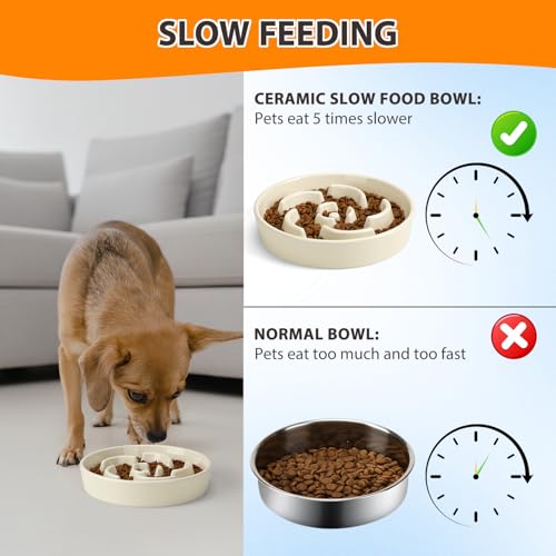 Ceramic Slow Feeder Dog Bowl (Flower - White / 2 Cups)