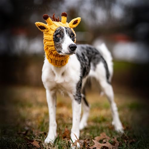 Giraffe Costume (Yellow / Medium)