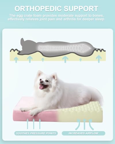 Orthopedic Dog Bed for Small Dogs with Waterproof Lining (Pink / 23.0"L x 17.0"W x 3.0"Th)