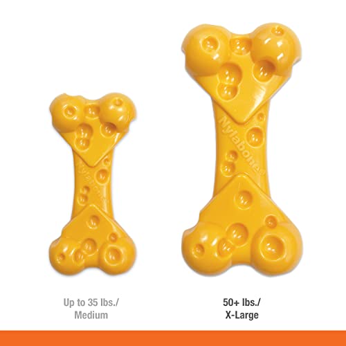 Power Chew Cheese Bone Dog Chew Toy (Cheese 1 Pack / X-Large)