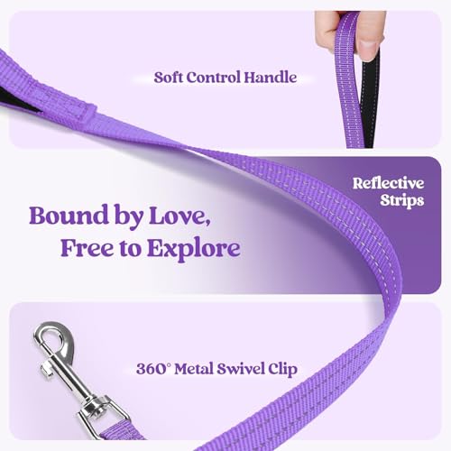 Dog Harness Medium Sized and Leash Set (Purple / L (chest: 18.2 - 20.5"))