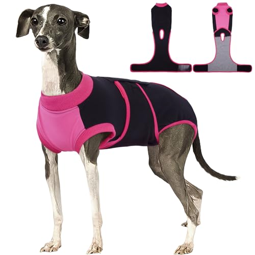 Dog Recovery Suit (Black / Large)