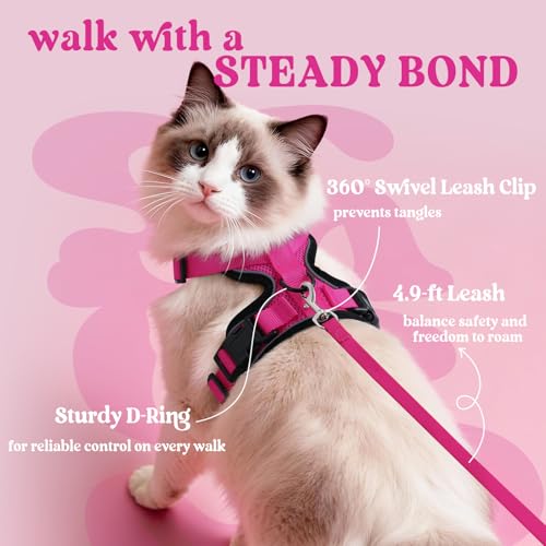 Cat Harness and Leash Set (Xs / Rose Red)