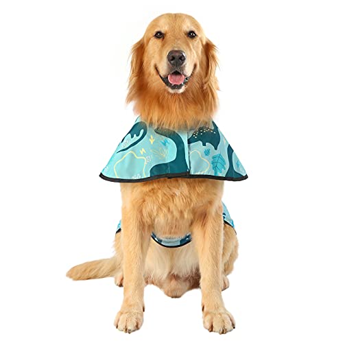 Dog Raincoat with Hood & Leash Hole S (X-Large / Dinosaurs)